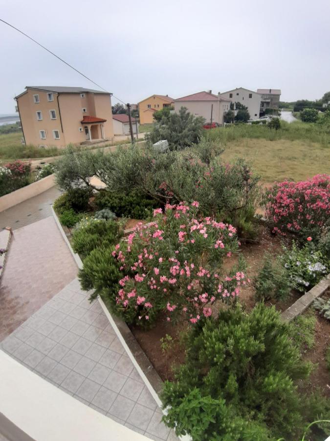 Apartments Zoran Povljana Ngoại thất bức ảnh