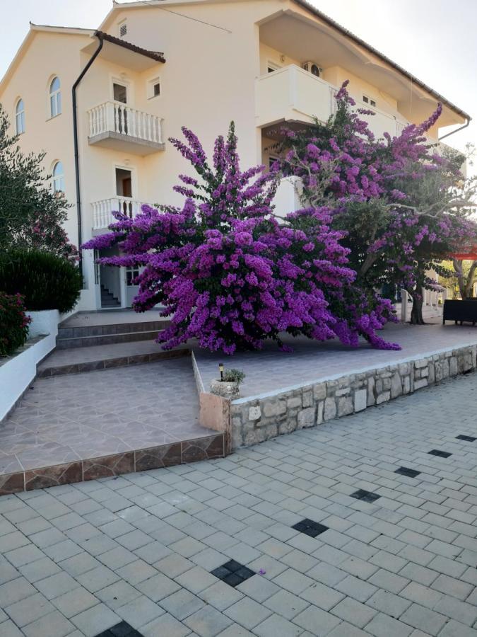 Apartments Zoran Povljana Ngoại thất bức ảnh